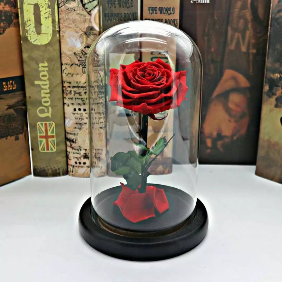 Real Natural Fresh Big Rose Preserved Flower Preserved Everlasting Real Roses in Glass Dome for Sale