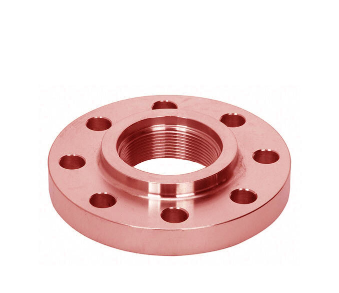 Ring Type Joint Copper Nickel Flange with Black Paint Coating