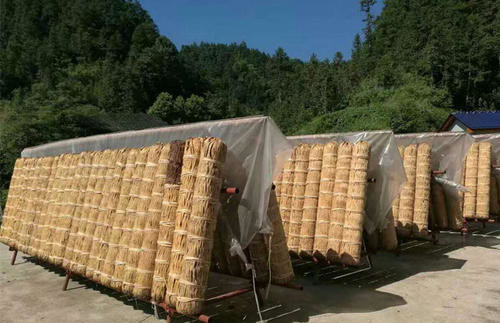 Amazing Taste Pure Anhua Qiangliang Dark Tea Dry And Ventilated Storage
