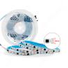 Buy cheap 8mm Narrow LED Pixel Strip Light , RGB 5050 3535 Magic Dream Color LED Strip from wholesalers