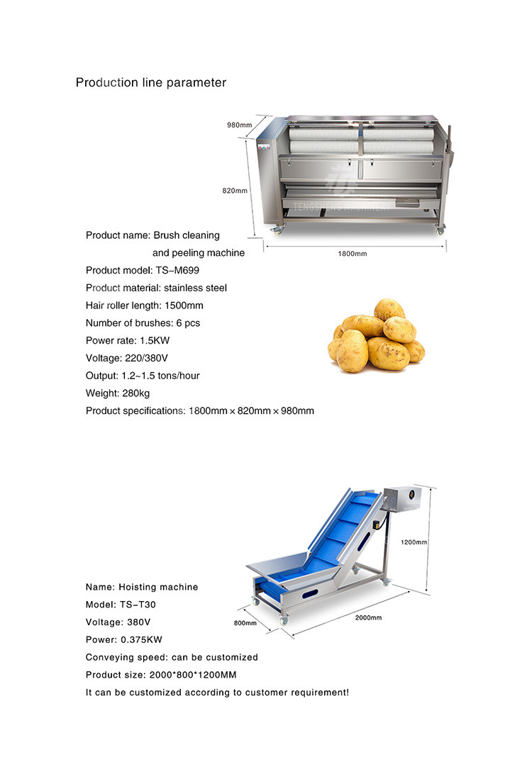 Stainless Steel Fruit And Vegetable Processing Line Brush Cleaning And Hoisting