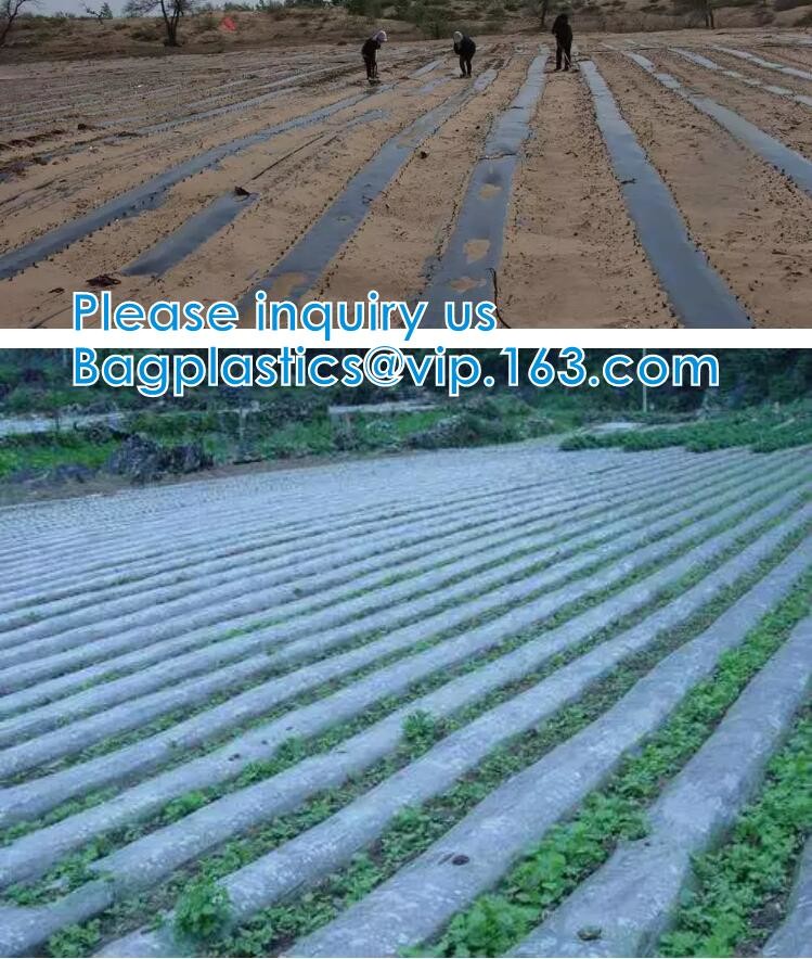 200 Micron Uv Resistant Film Greenhouse Perforated Mulch Agricultural Film Vegetable Planting