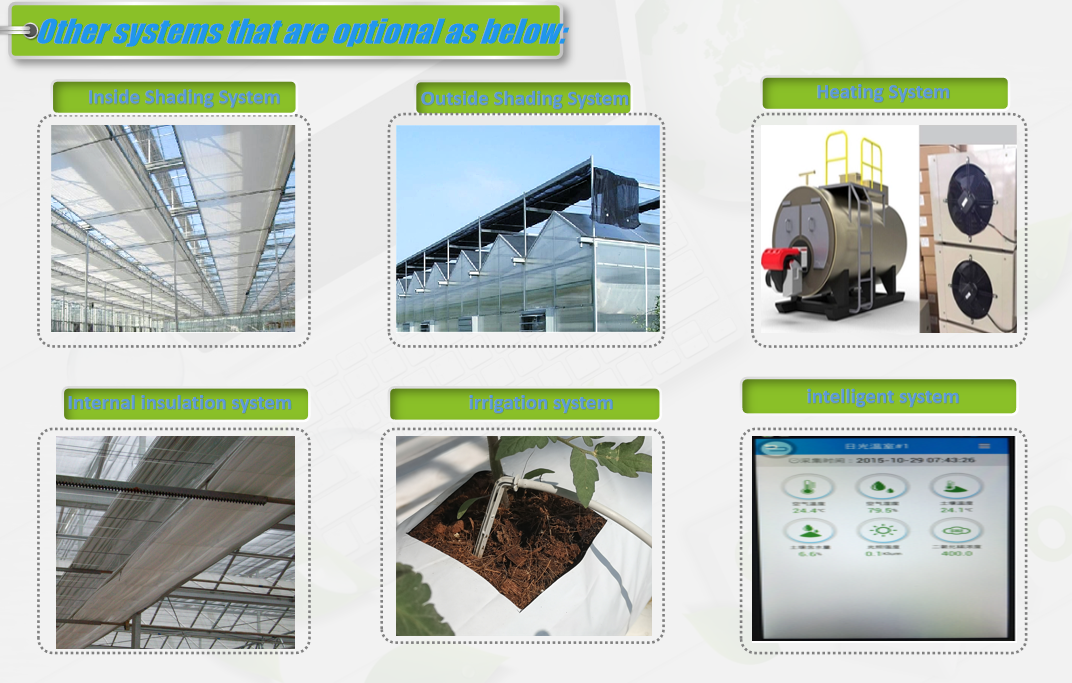 Easy To Assemble Transparent Blueberry Greenhouse With Electric Systems