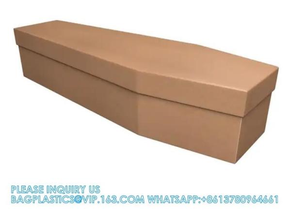 Assembled Biodegradable Cremation Cardboard Coffins Prices Manufacturer
