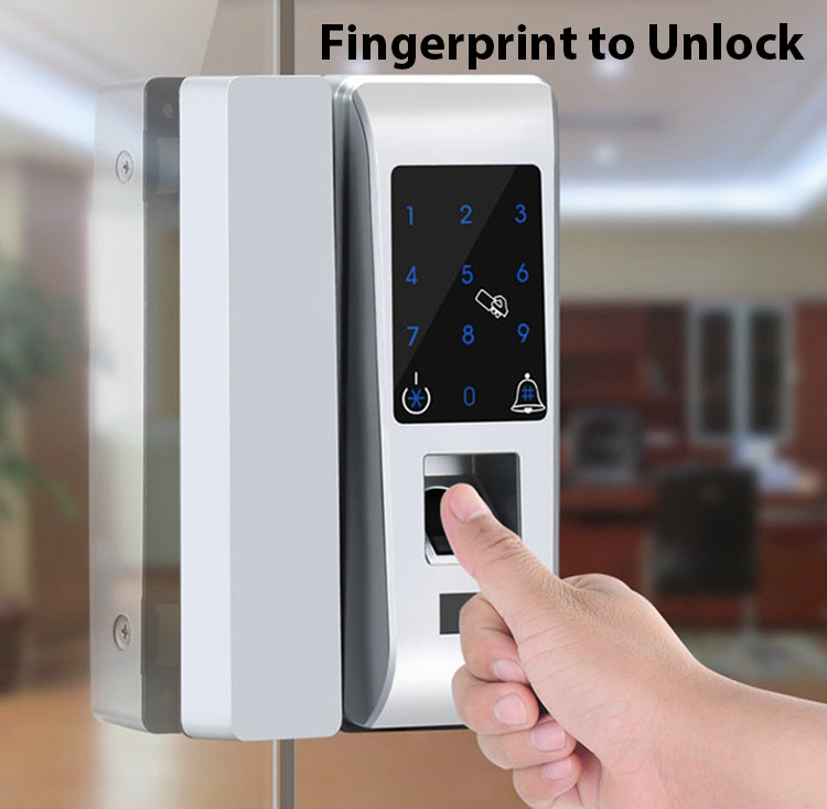 Custom Biometric Entry Door Lock , Password Smart Biometric Fingerprint Lock