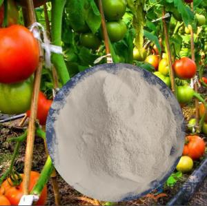  PH7-9 Fulvic Humic Acid Amino Acid Powder Fertilizer 52% 65072-01-7 Manufactures