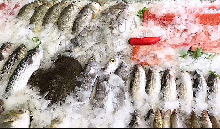 Seafood 2.7KW 380V Flake Ice Maker Machine , Sea Water Flake Ice Machine