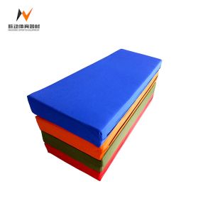 China Thick PVC Gymnastics Tumbling Mats 240*120*5 10 cm Suitable for Various Exercises on sale