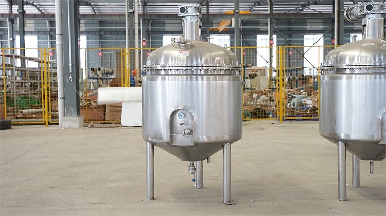 Maximize Mango Processing Efficiency with the Mango Puree Plant