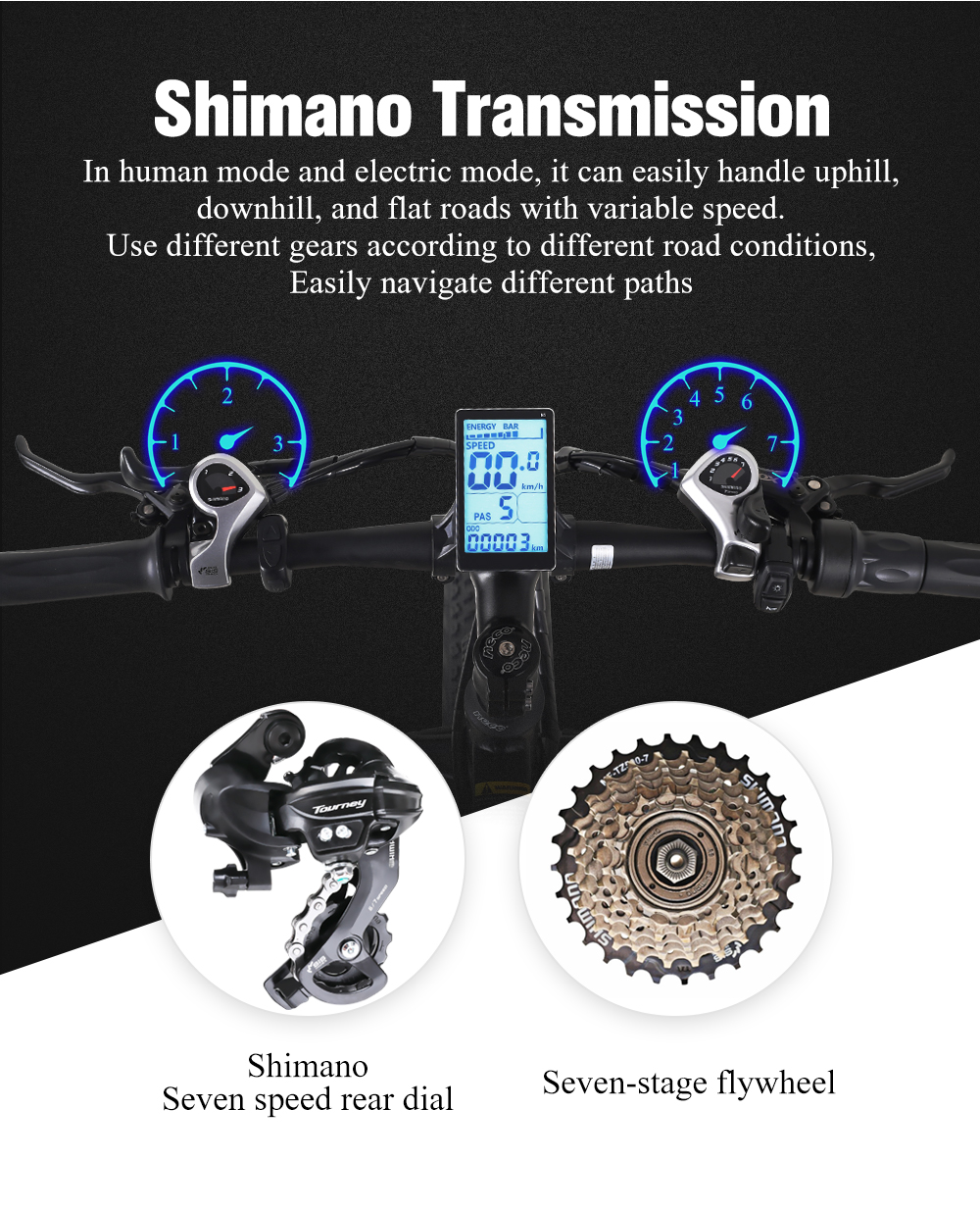 48V 1000W Motor Fat Tyre Electric Bicycles with 48V 17Ah Battery and Blue Screen Display