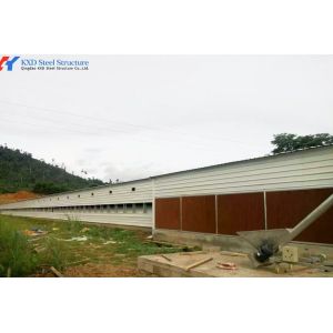 Fully Automatic Galvanized Poultry Farm Layer Cage with Feeding System