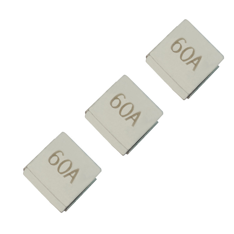  8810F Ultra SMD Chip Fuse High Current Nano2 Fast Blow Subminiature 80A 125A 125V Max. Manufactures
