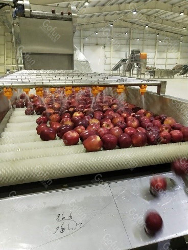 SS304 / 316 Apple Juice Processing Machine 10 - 50T/D