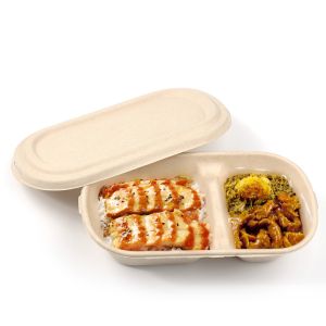 Disposable sugarcane bagasse 850ml, 1000ml 2 compartments food container with
