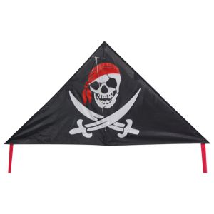  Pirate Pattern Delta Wing Kite Convenient Carry Easy Control Durable Manufactures