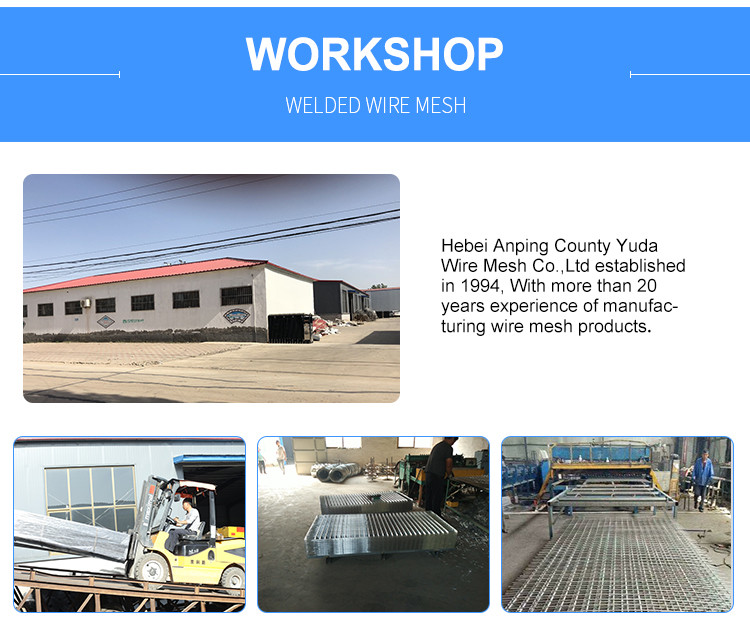 Customized Plant Welded Wire Mesh Roll Galvanized Weld Netting Fence Panel