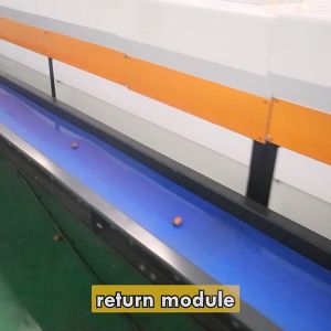 Maximizing Productivity In Date Sorting Machine Hourly Capacity Up To 2 Tons