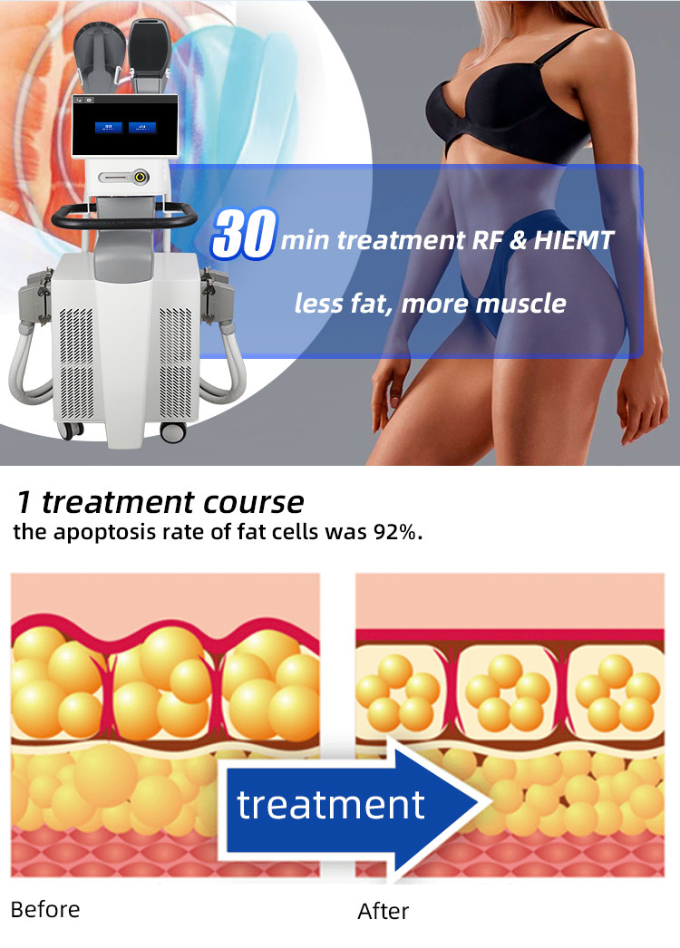 Ems Slimming Body Shaping Machine 2/4 Handle