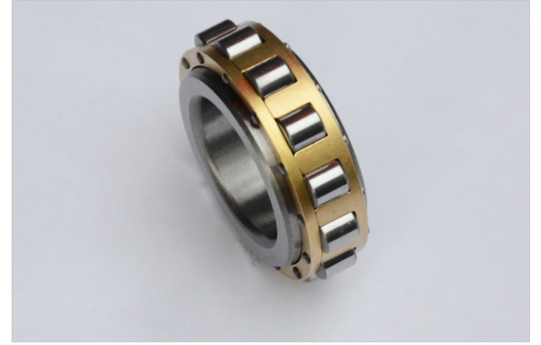 Eccentric Bearing RN205M