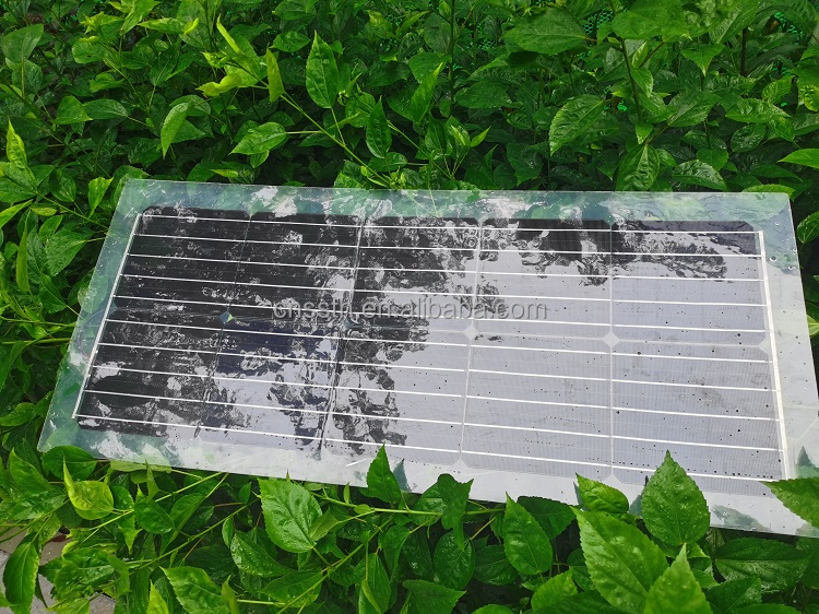 30W 40W 50W 60W 80W Solar Panel PET Semi Transparent Solar Panel 1000V
