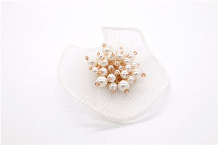 Eco - Friendly Shoe Lace Flowers Luxury Designs Decoration Accessories