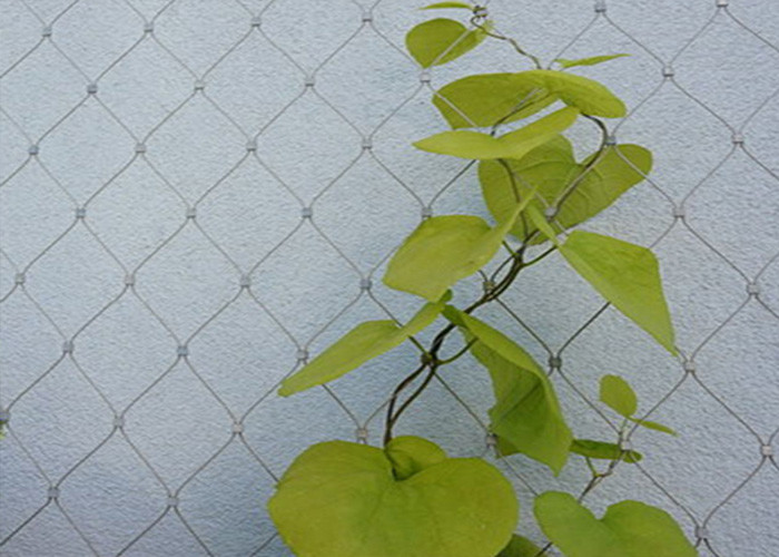 Flexible Potato Grapes Stainless Steel Ferrule Rope Mesh Netting 1.5mm