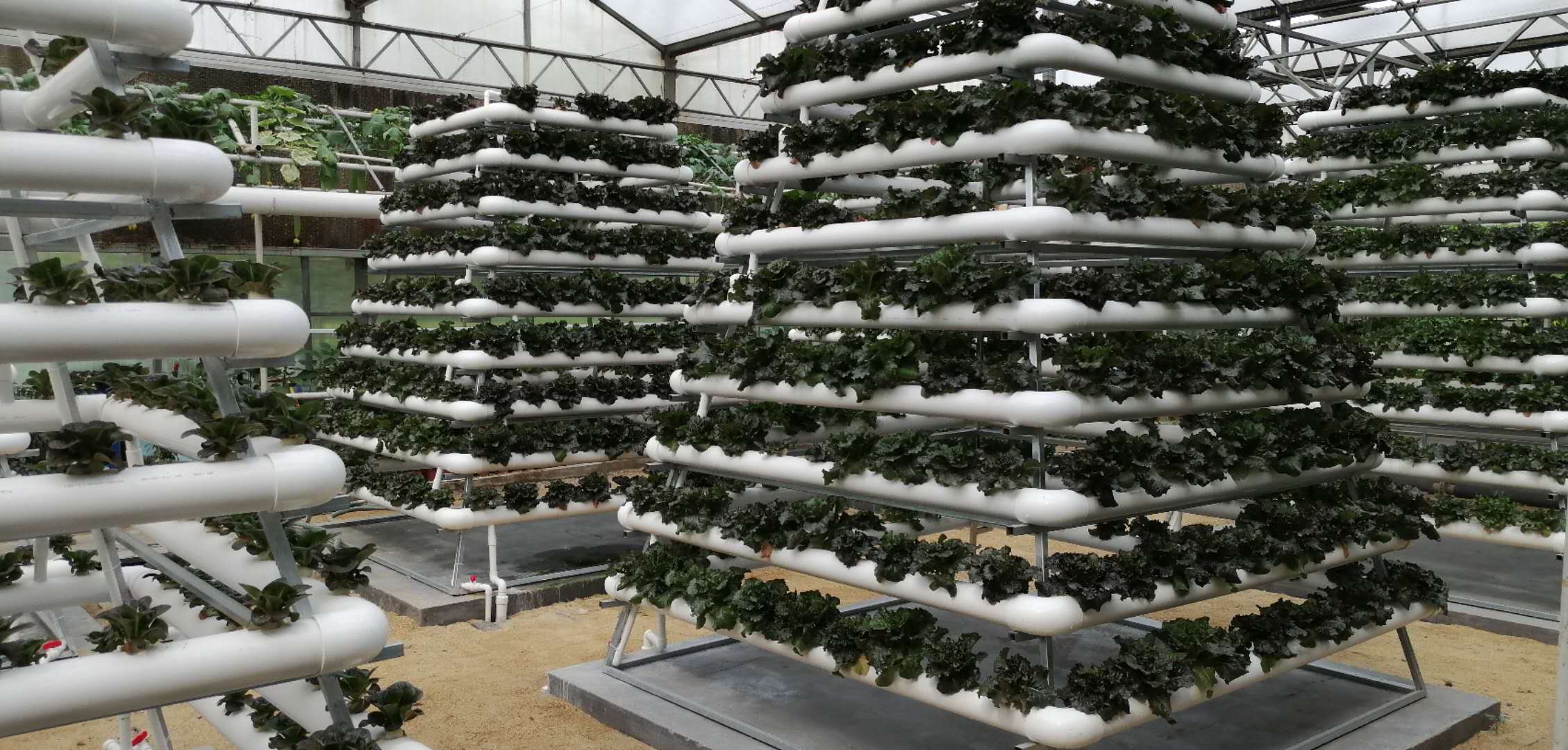 Hydroponic Tower Garden Hydroponics Growing Vegetable Aeroponic Tower