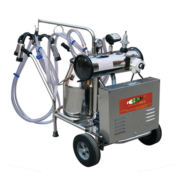 Flexible Cattle Cow Head Lock Dairy Farm Raise Equipment Dairy Feeding Equipment