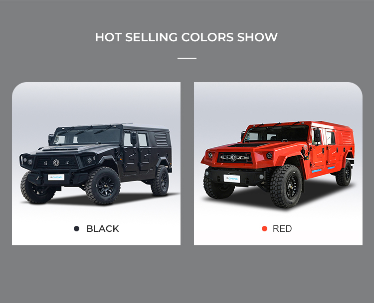 Dongfeng Mengshi M50 Pickup Truck colors