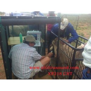 Durable Portable 2D Echo Machine Micro Convex Medical Ultrasound Machine