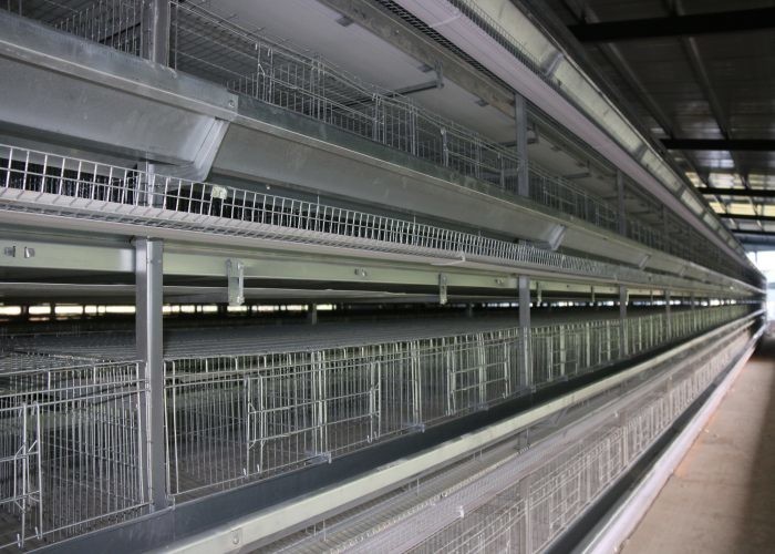 Commercial A Type Chicken Cage Sturdy Enriched Cages For Laying Hens