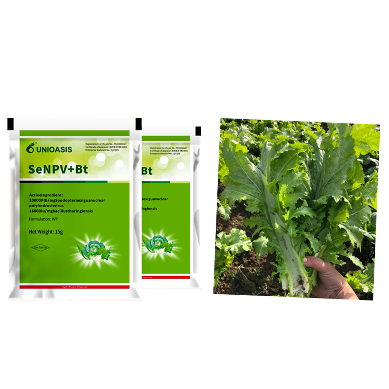 Agricultural Pests SeNPV Biological Insecticide Pesticides For Cabbage Worms Killing