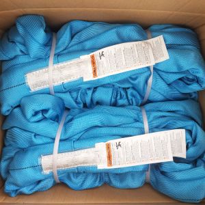 Vertical 23000 LBS Polyester Round Sling Blue WSTDA Standard