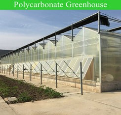 Film Covered Greenhouse for Agriculture in Namibia Affordable and Customizable Height