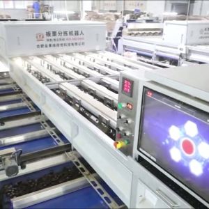  Intelligent Deep-learning 8 lanes+8 outlets Chestnut Sorting Machine 3.3 Tons per Hour: Learning, Growing, Continuous Optimization Manufactures