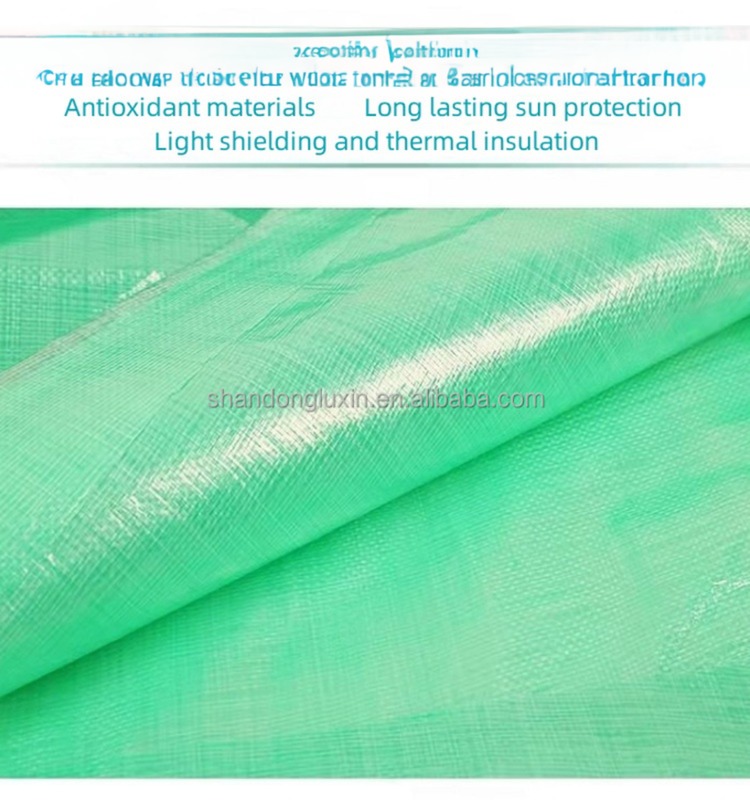 UV Resistant Green PE Tarpaulin for Rain and Sunshine Protection in Coated Pattern