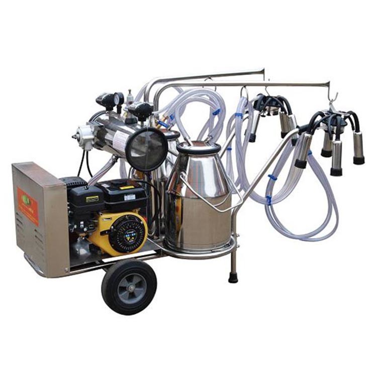 Serrated sector Blade TMR Mixer Machine Vertical 8 Cbm Cow Feed Mixer