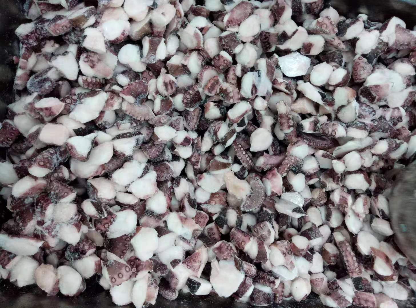 Frozen Sliced Octopus TAKO I.Q.F from Fujian Delicious and Convenient