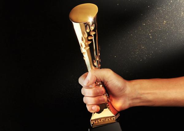 Gold Plated Polyresin Trophy Cylinder Shape Year - End Bonus For Enterprise