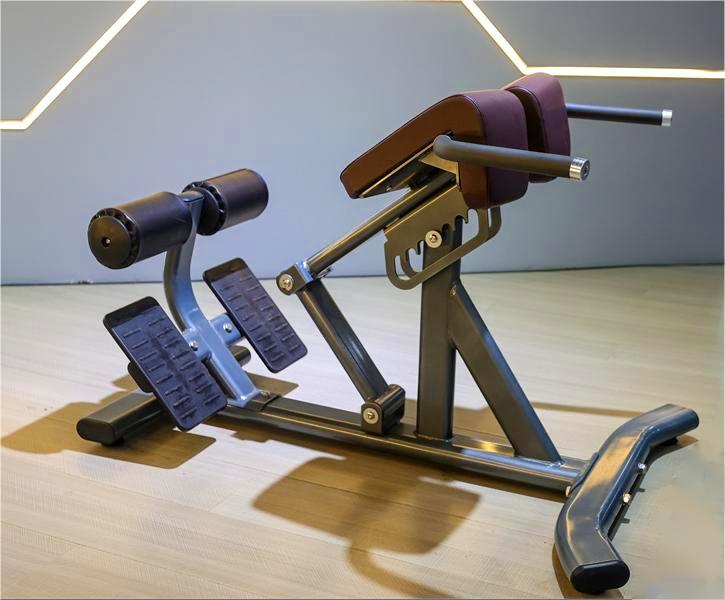 Adjustable Back Extension Roman Chair Home Gym Strength Training Machine for Abdominals and Back Exercise Pin Load Selection