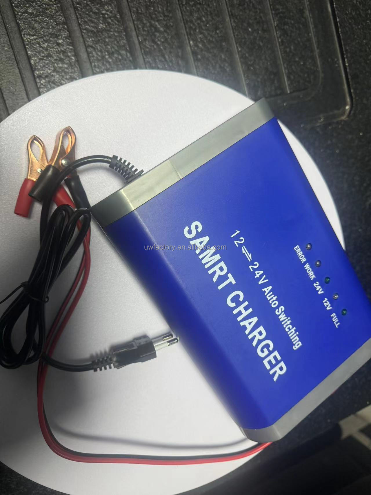Private Mold Intelligent Automatic Motorcycle 12V10A 24V5A Pulse Repair Lead Acid Battery Charger with 125W Output Power