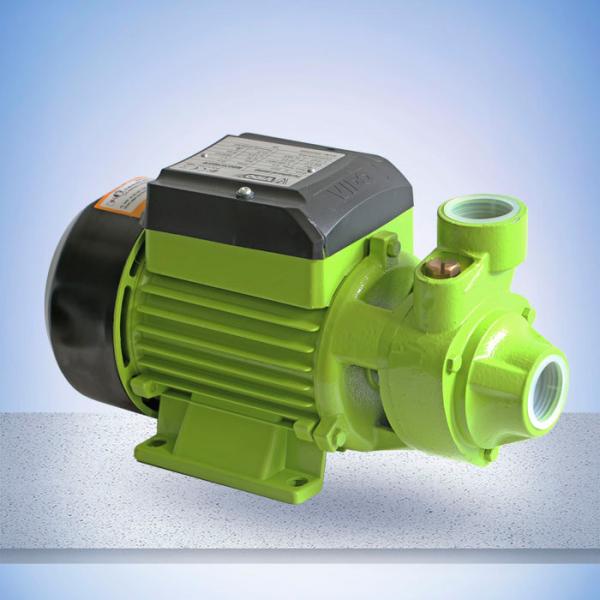 35m 370W 0.5HP Peripheral Household Water Pumps，The stainless steel rotor