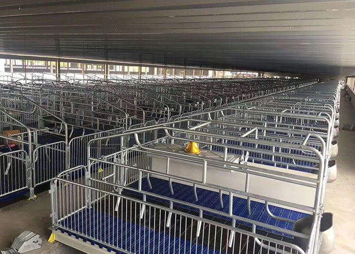 2.4*1.8m Pig Sow Farrowing Crate Pen