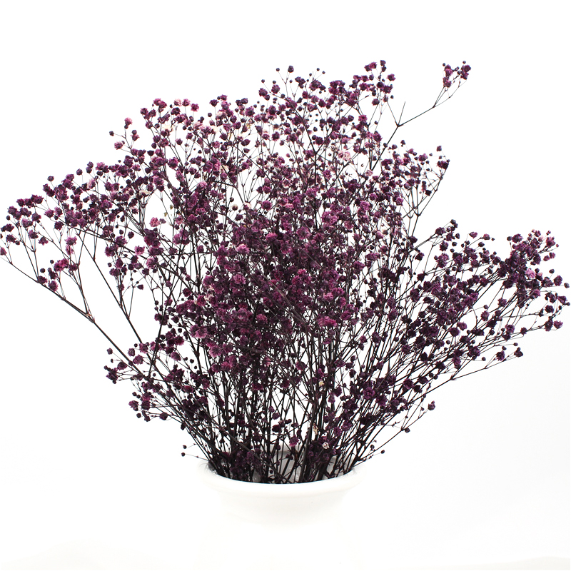 Multicolor Beautiful Dried Flowers Baby'S Breath Wedding Table Decorations
