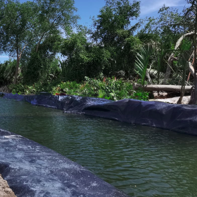 Both Side Smooth/Textured 0.5mm HDPE Geomembrane Liner Sheet for Fish Farming Pond Liner