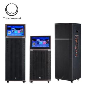 Wifi 12'' Mobile Battery Powered Loudspeaker With Wheels Handles Screen