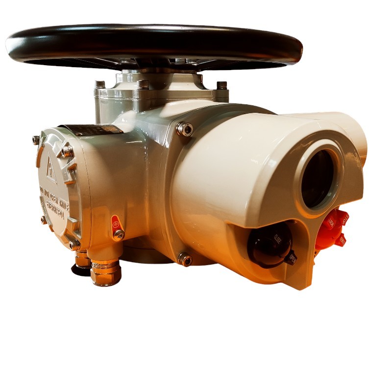 380V AC Explosion Proof Actuator Multi Turn Actuator With Torque Protection