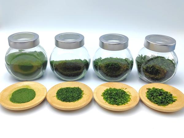 Food Grade Nutrient Rich Green Aonori Dried Seaweed Ao Nori Ko Processed Crispy