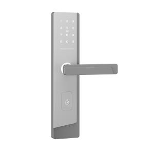 Smart Touchscreen Passcode Door Lock For One Admin And Up To 100 Users