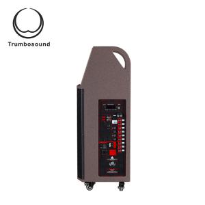 Wifi 12'' Mobile Battery Powered Loudspeaker With Wheels Handles Screen